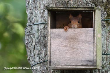Il sait très bien que je l'observe, mais ça ne le dérange pas