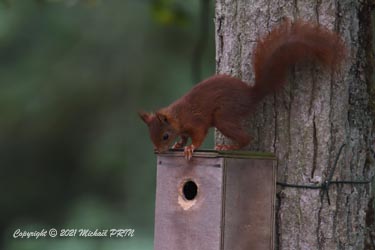 Mais l'ouverture est trop petite...