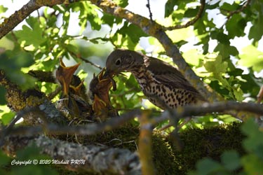 Environ 10 jours après la naissance