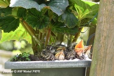 Au 10ème jour, ils ne sont plus que 4