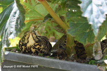 14ème et avant dernier jour avant l'envol