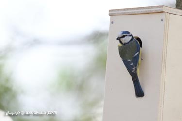 A peine installé, déjà occupé