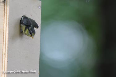 Premier envol, au moins 6 autres suivront