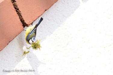 Au même moment, un autre couple s'installe sous le toit