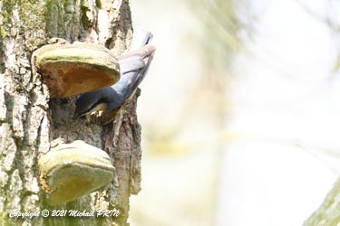 Encore un peu de mortier...