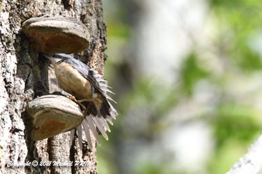 Un peu d'étirement...