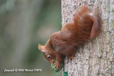 ... qui s'acharne...