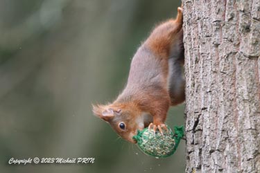 ... encore et encore...