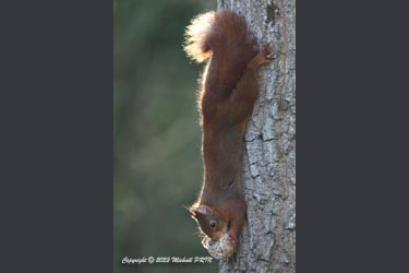 ... encore un petit morceau pour la route...