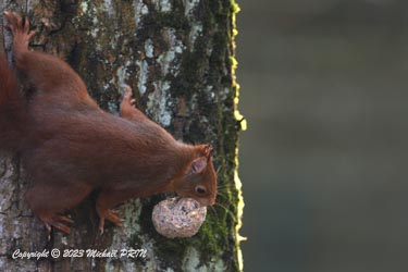 ... et on file avec le butin...