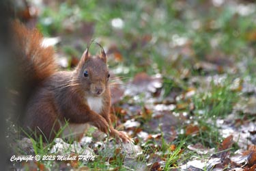 ... non sans montrer fièrement son exploit...