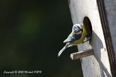 Finalement, sa trop grande ouverture les dissuadera