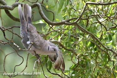 ... pas toujours sans difficultés...