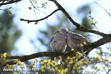 Repos bien mérité après le travail
