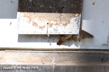 ... et difficile d'accès même pour un troglodyte...