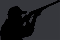 Article chasse en France