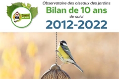 Ajout de photos de baignade estivale