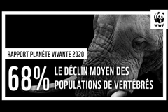 Ajout de photos de baignade estivale