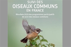 Ajout de photos de baignade estivale